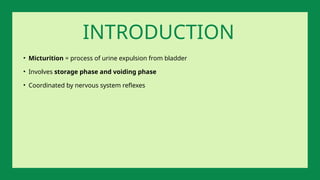 • Micturition = process of urine expulsion from bladder
• Involves storage phase and voiding phase
• Coordinated by nervous system reflexes
INTRODUCTION
 