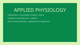 APPLIED PHYSIOLOGY
• Kidney failure accumulation of waste uremia
→ →
• Inability to concentrate urine polyuria
→
• Renin secretion disorders hypertension or hypotension
→
 