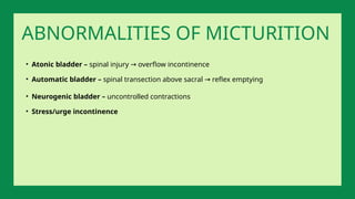 • Atonic bladder – spinal injury overflow incontinence
→
• Automatic bladder – spinal transection above sacral reflex emptying
→
• Neurogenic bladder – uncontrolled contractions
• Stress/urge incontinence
ABNORMALITIES OF MICTURITION
 