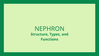 NEPHRON
Structure, Types, and
Functions
 