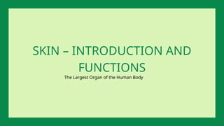The Largest Organ of the Human Body
SKIN – INTRODUCTION AND
FUNCTIONS
 