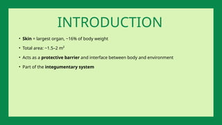 • Skin = largest organ, ~16% of body weight
• Total area: ~1.5–2 m²
• Acts as a protective barrier and interface between body and environment
• Part of the integumentary system
INTRODUCTION
 