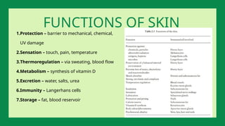 1.Protection – barrier to mechanical, chemical,
UV damage
2.Sensation – touch, pain, temperature
3.Thermoregulation – via sweating, blood flow
4.Metabolism – synthesis of vitamin D
5.Excretion – water, salts, urea
6.Immunity – Langerhans cells
7.Storage – fat, blood reservoir
FUNCTIONS OF SKIN
 
