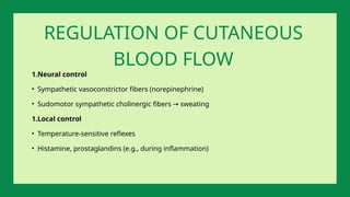 1.Neural control
• Sympathetic vasoconstrictor fibers (norepinephrine)
• Sudomotor sympathetic cholinergic fibers sweating
→
1.Local control
• Temperature-sensitive reflexes
• Histamine, prostaglandins (e.g., during inflammation)
REGULATION OF CUTANEOUS
BLOOD FLOW
 