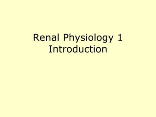 Renal Physiology 1 Introduction 