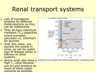 Renal transport systems Lots of transporter proteins for different molecules/ions so they can be reabsorbed. They all have maximum transport (T M ) capacities where transport saturates i.e. 10mmol/l for glucose. Over this value, you excrete the excess in urine, so can be useful sign of disease either in kidneys or other systems. Amino acids also have a high T M  value because you try and preserve as much of these useful nutrients as possible. 