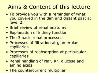 Aims & Content of this lecture To provide you with a reminder of what you covered in the dim and distant past at level 2! Brief review of renal anatomy Explanation of kidney function The 3 basic renal processes Processes of filtration at glomerular capillaries Processes of reabsorption at peritubular capillaries Renal handling of Na + , K + , glucose and amino acids The countercurrent multiplier 