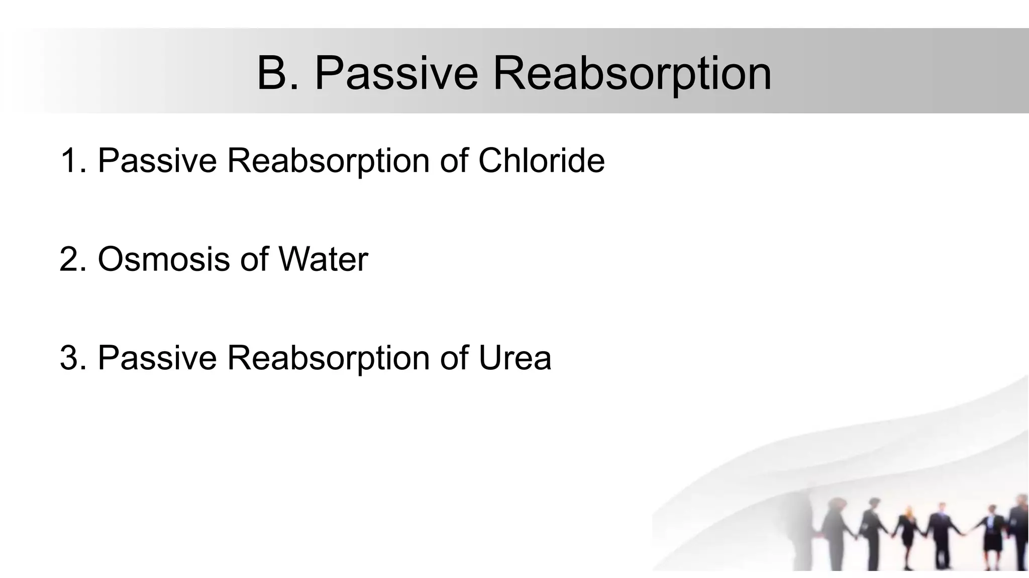 B. Passive Reabsorption
1. Passive Reabsorption of Chloride
2. Osmosis of Water
3. Passive Reabsorption of Urea
 