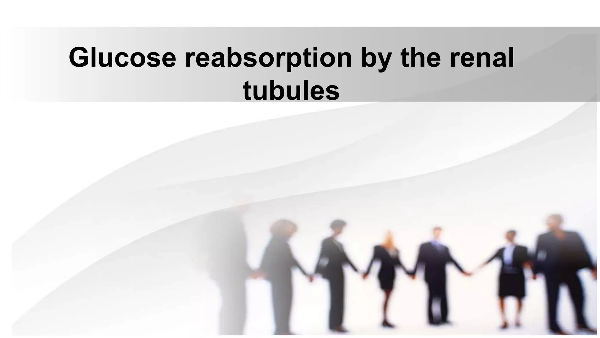 Glucose reabsorption by the renal
tubules
 