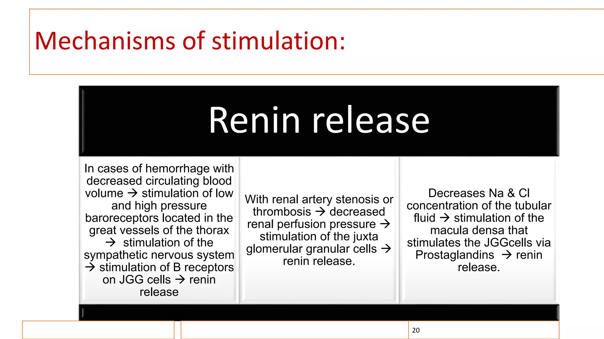 Mechanisms of stimulation:
Renin release
In cases of hemorrhage with
decreased circulating blood
volume  stimulation of low
and high pressure
baroreceptors located in the
great vessels of the thorax
 stimulation of the
sympathetic nervous system
 stimulation of B receptors
on JGG cells  renin
release
With renal artery stenosis or
thrombosis  decreased
renal perfusion pressure 
stimulation of the juxta
glomerular granular cells 
renin release.
Decreases Na & Cl
concentration of the tubular
fluid  stimulation of the
macula densa that
stimulates the JGGcells via
Prostaglandins  renin
release.
20
 