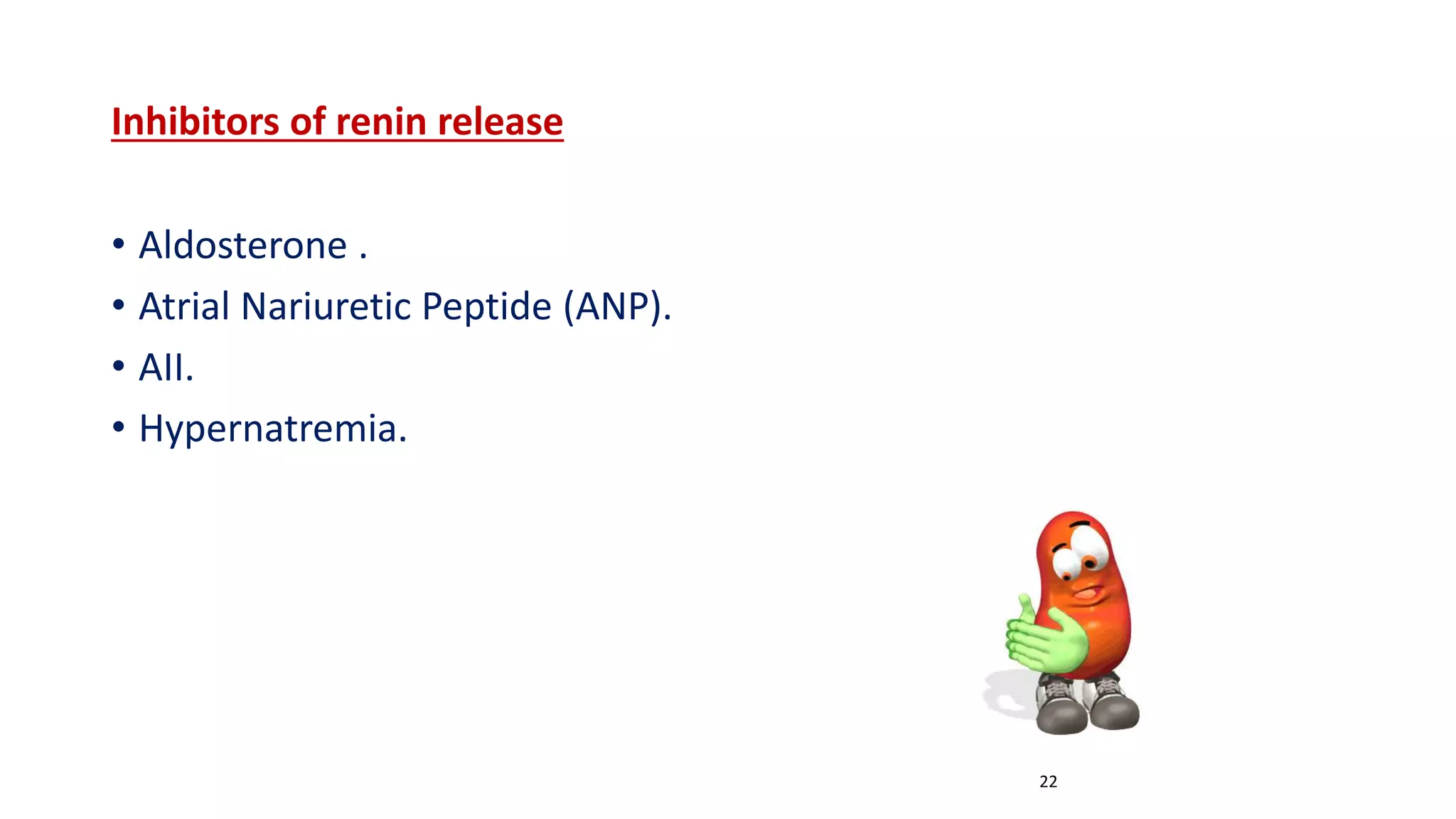 Inhibitors of renin release
• Aldosterone .
• Atrial Nariuretic Peptide (ANP).
• AII.
• Hypernatremia.
22
 