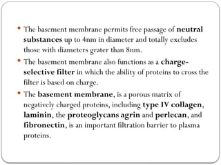 Comprehensive Overview of the Nephron and Renal System Functions | PPTX