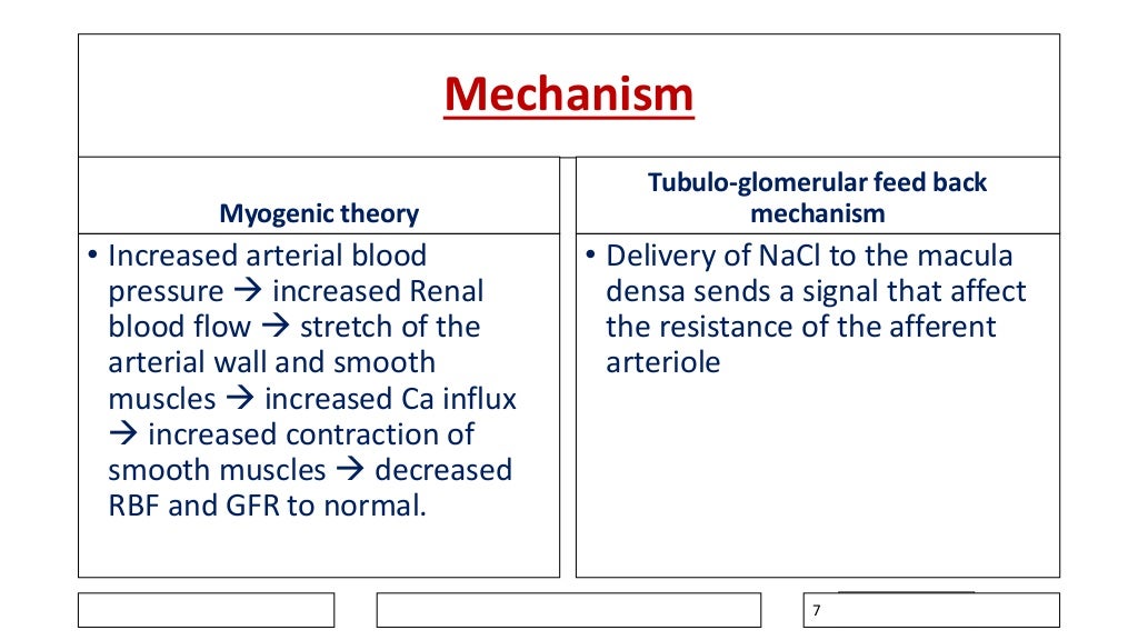 Renal physiology, renal blood flow, autoregulation, golmerular filtra…
