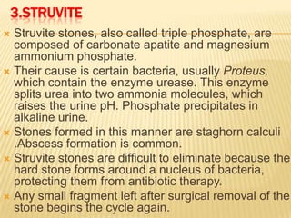 3.STRUVITE
 Struvite stones, also called triple phosphate, are
  composed of carbonate apatite and magnesium
  ammonium phosphate.
 Their cause is certain bacteria, usually Proteus,
  which contain the enzyme urease. This enzyme
  splits urea into two ammonia molecules, which
  raises the urine pH. Phosphate precipitates in
  alkaline urine.
 Stones formed in this manner are staghorn calculi
  .Abscess formation is common.
 Struvite stones are difficult to eliminate because the
  hard stone forms around a nucleus of bacteria,
  protecting them from antibiotic therapy.
 Any small fragment left after surgical removal of the
  stone begins the cycle again.
 