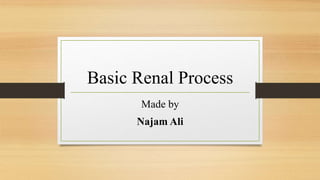 Basic Renal Process
Made by
Najam Ali
 