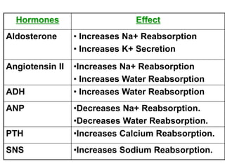 Hormones Effect
Aldosterone • Increases Na+ Reabsorption
• Increases K+ Secretion
Angiotensin II •Increases Na+ Reabsorption
• Increases Water Reabsorption
ADH • Increases Water Reabsorption
ANP •Decreases Na+ Reabsorption.
•Decreases Water Reabsorption.
PTH •Increases Calcium Reabsorption.
SNS •Increases Sodium Reabsorption.
 