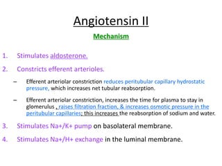 Angiotensin II
Mechanism
1. Stimulates aldosterone.
2. Constricts efferent arterioles.
– Efferent arteriolar constriction reduces peritubular capillary hydrostatic
pressure, which increases net tubular reabsorption.
– Efferent arteriolar constriction, increases the time for plasma to stay in
glomerulus , raises filtration fraction, & increases osmotic pressure in the
peritubular capillaries; this increases the reabsorption of sodium and water.
3. Stimulates Na+/K+ pump on basolateral membrane.
4. Stimulates Na+/H+ exchange in the luminal membrane.
 