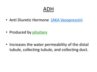 ADH
• Anti Diuretic Hormone (AKA Vasopressin).
• Produced by pituitary
• Increases the water permeability of the distal
tubule, collecting tubule, and collecting duct.
 