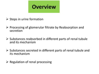 Overview
 Steps in urine formation
 Processing of glomerular filtrate by Reabsorption and
secretion
 Substances reabsorbed in different parts of renal tubule
and its mechanism
 Substances secreted in different parts of renal tubule and
its mechanism
 Regulation of renal processing
 