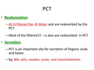 PCT
• Reabsorption
– 65 % filtered Na+ & Water and are reabsorbed by the
PCT.
– Most of the filtered Cl – is also are reabsorbed in PCT.
• Secretion
– PCT is an important site for secretion of Organic acids
and bases.
– Eg: Bile salts, oxalate, urate, and catecholamines
 