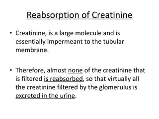 Reabsorption of Creatinine
• Creatinine, is a large molecule and is
essentially impermeant to the tubular
membrane.
• Therefore, almost none of the creatinine that
is filtered is reabsorbed, so that virtually all
the creatinine filtered by the glomerulus is
excreted in the urine.
 