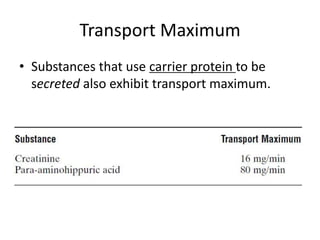 Transport Maximum
• Substances that use carrier protein to be
secreted also exhibit transport maximum.
 