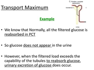 Transport Maximum
Example
• We know that Normally, all the filtered glucose is
reabsorbed in PCT
• So glucose does not appear in the urine
• However, when the filtered load exceeds the
capability of the tubules to reabsorb glucose,
urinary excretion of glucose does occur.
 