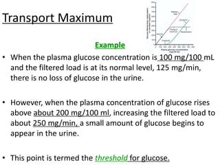 Transport Maximum
Example
• When the plasma glucose concentration is 100 mg/100 mL
and the filtered load is at its normal level, 125 mg/min,
there is no loss of glucose in the urine.
• However, when the plasma concentration of glucose rises
above about 200 mg/100 ml, increasing the filtered load to
about 250 mg/min, a small amount of glucose begins to
appear in the urine.
• This point is termed the threshold for glucose.
 