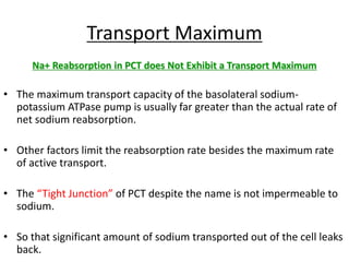 Na+ Reabsorption in PCT does Not Exhibit a Transport Maximum
• The maximum transport capacity of the basolateral sodium-
potassium ATPase pump is usually far greater than the actual rate of
net sodium reabsorption.
• Other factors limit the reabsorption rate besides the maximum rate
of active transport.
• The “Tight Junction” of PCT despite the name is not impermeable to
sodium.
• So that significant amount of sodium transported out of the cell leaks
back.
Transport Maximum
 