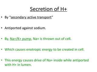 Secretion of H+
• By “secondary active transport”
• Antiported against sodium.
• By, Na+/K+ pump, Na+ is thrown out of cell.
• Which causes enotropic energy to be created in cell.
• This energy causes drive of Na+ inside while antiported
with H+ in lumen.
 