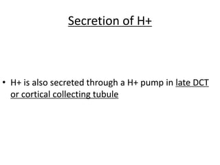 Secretion of H+
• H+ is also secreted through a H+ pump in late DCT
or cortical collecting tubule
 