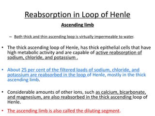 Reabsorption in Loop of Henle
Ascending limb
– Both thick and thin ascending loop is virtually impermeable to water.
• The thick ascending loop of Henle, has thick epithelial cells that have
high metabolic activity and are capable of active reabsorption of
sodium, chloride, and potassium .
• About 25 per cent of the filtered loads of sodium, chloride, and
potassium are reabsorbed in the loop of Henle, mostly in the thick
ascending limb.
• Considerable amounts of other ions, such as calcium, bicarbonate,
and magnesium, are also reabsorbed in the thick ascending loop of
Henle.
• The ascending limb is also called the diluting segment.
 