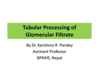 Tubular Processing of
Glomerular Filtrate
By Dr. Karishma R. Pandey
Assistant Professor
BPKIHS, Nepal
 