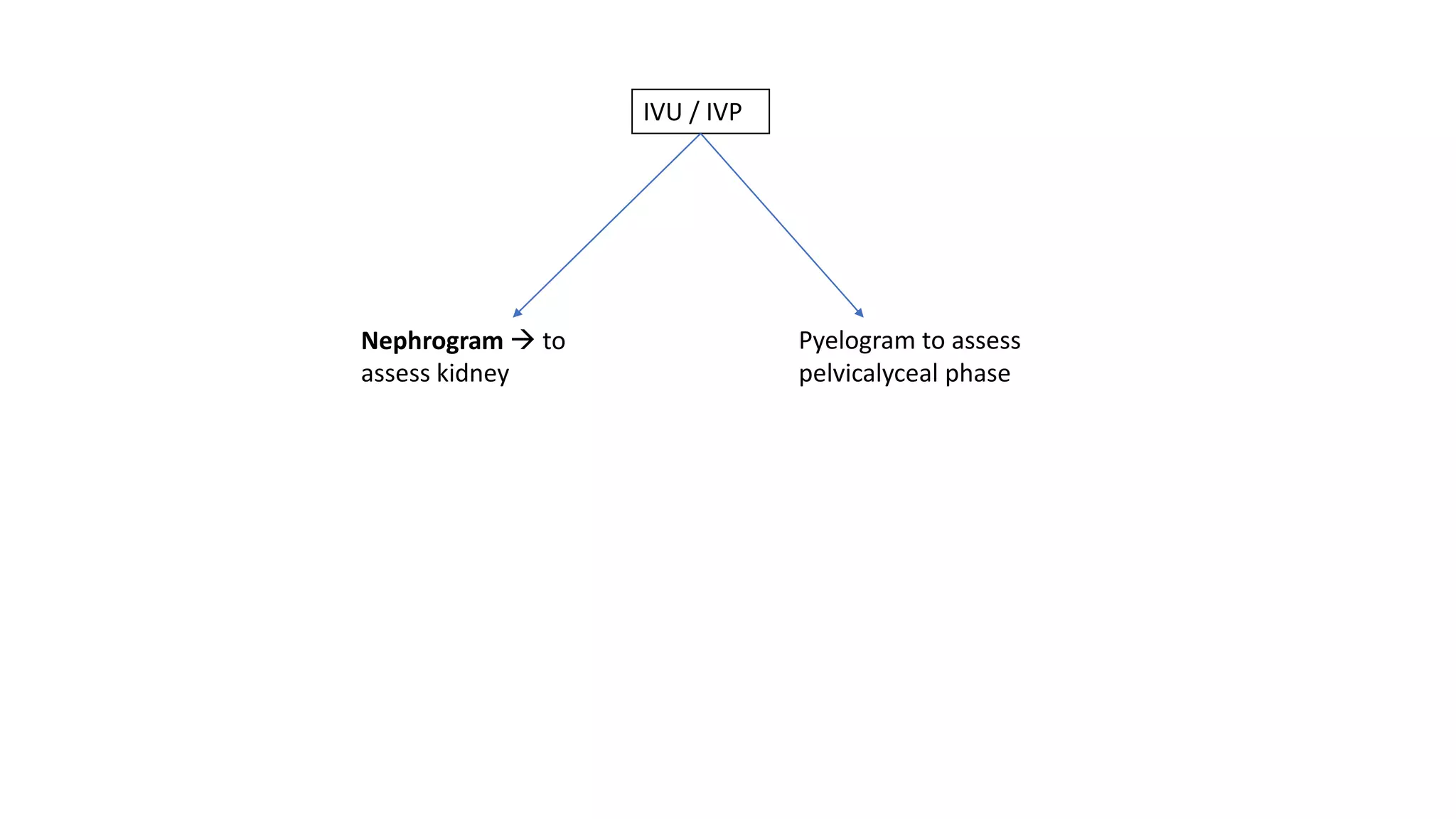 Renal radiology revision notes | PDF