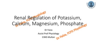 Renal Regulation of Potassium, Calcium, Magnesium and Phosphorus
