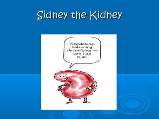 Sidney the KidneySidney the Kidney
 