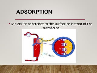 ADSORPTION
• Molecular adherence to the surface or interior of the
membrane.
 
