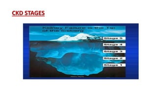 CKD STAGES
 