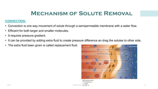 Renal Replacement Therapy - ICU Guidlines | PDF