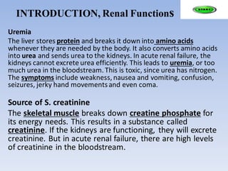 INTRODUCTION, Renal Functions
Uremia
The liver stores protein and breaks it down into amino acids
whenever they are needed by the body. It also converts amino acids
into urea and sends urea to the kidneys. In acute renal failure, the
kidneys cannot excrete urea efficiently. This leads to uremia, or too
much urea in the bloodstream. This is toxic, since urea has nitrogen.
The symptoms include weakness, nausea and vomiting, confusion,
seizures, jerky hand movementsand even coma.
Source of S. creatinine
The skeletal muscle breaks down creatine phosphate for
its energy needs. This results in a substance called
creatinine. If the kidneys are functioning, they will excrete
creatinine. But in acute renal failure, there are high levels
of creatinine in the bloodstream.
 