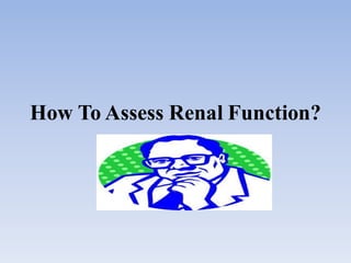 How To Assess Renal Function?
 