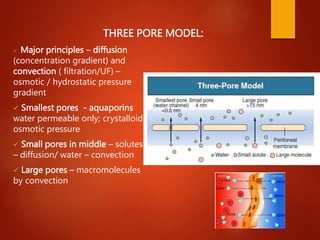 THREE PORE MODEL:
 Major principles – diffusion
(concentration gradient) and
convection ( filtration/UF) –
osmotic / hydrostatic pressure
gradient
 Smallest pores - aquaporins
water permeable only; crystalloid
osmotic pressure
 Small pores in middle – solutes
– diffusion/ water – convection
 Large pores – macromolecules
by convection
 