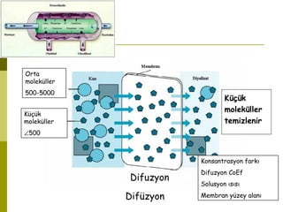 Küçük
moleküller
∠500
Difuzyon
Orta
moleküller
500-5000
Konsantrasyon farkı
Difuzyon CoEf
Solusyon ısısı
Membran yüzey alanı
Küçük
moleküller
temizlenir
Difüzyon
 