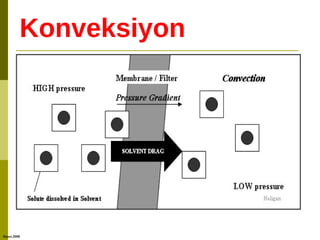 Konveksiyon
Hasei.2008
 