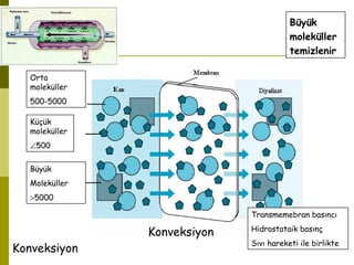 Transmemebran basıncı
Hidrostataik basınç
Sıvı hareketi ile birlikte
Küçük
moleküller
∠500
Büyük
Moleküller
>5000
Konveksiyon
Büyük
moleküller
temizlenir
Orta
moleküller
500-5000
Konveksiyon
 