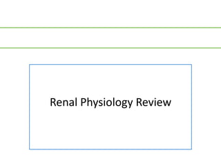 Renal Physiology Review
 