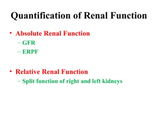 Renal Function Panel Graph all about renal scan Renal Scintigraphy-.ppt