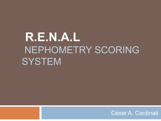 R.E.N.A.L
NEPHOMETRY SCORING
SYSTEM
César A. Cardinali
 