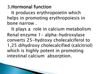 3.Hormonal function
It produces erythropoietin which
helps in promoting erythropoiesis in
bone narrow .
It plays a role in calcium metabolism
Renal enzyme 1- alpha-hydroxylase
converts 25-hydroxy cholecalciferol to
1,25 dihydroxy cholecalcified (calcitriol)
which is highly potent in promoting
intestinal calcium absorption.
 