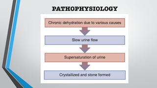 PATHOPHYSIOLOGY
•
 